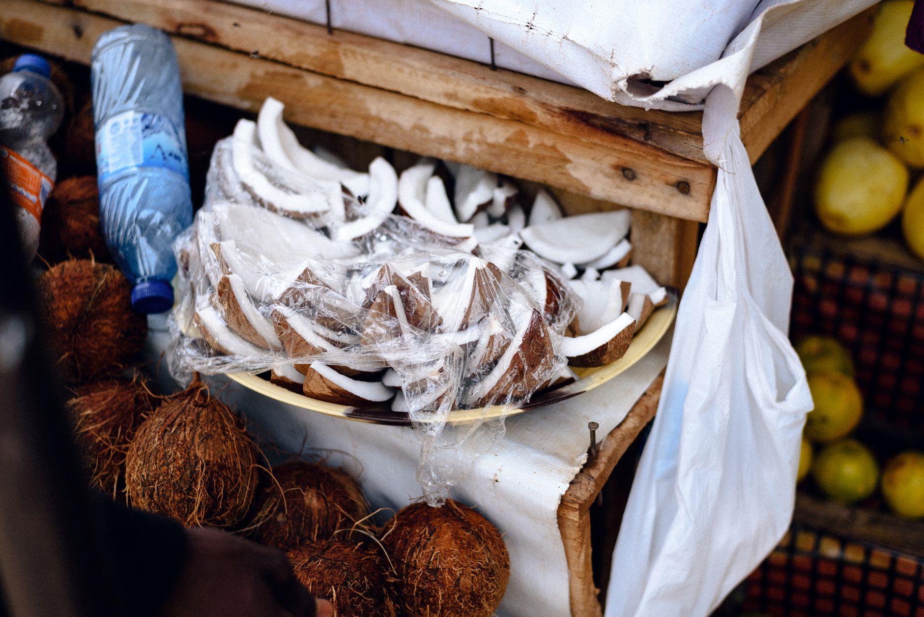 Sustainability and Traceability in Coconut Export
