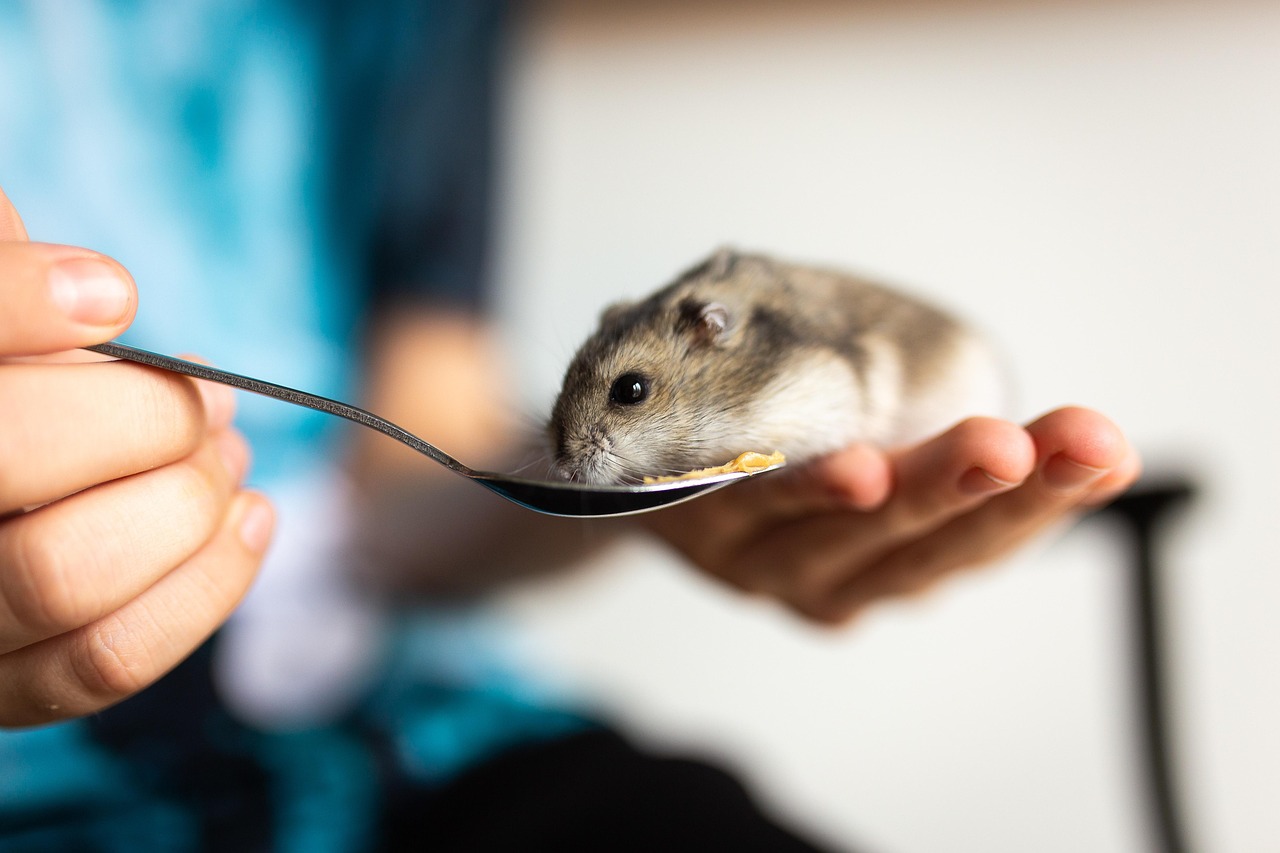 Pet Care Trends 2022