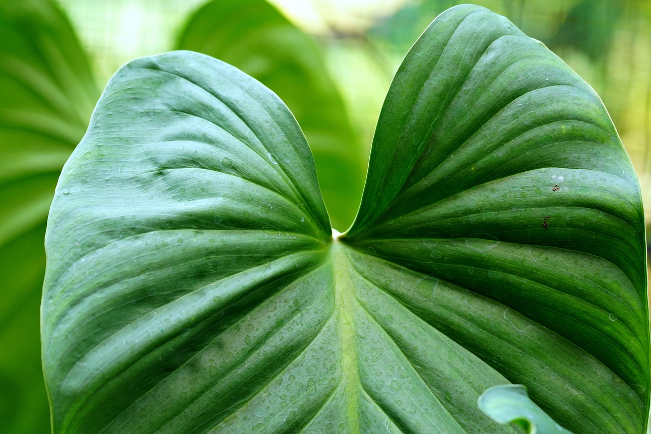 Vacuum sewer system: an eco-friendly solution for wastewater management