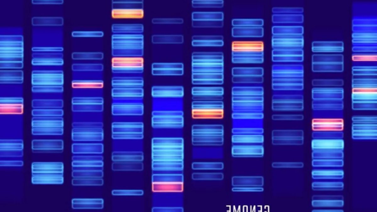New Algorithm Designs Smarter Materials - smarter materials