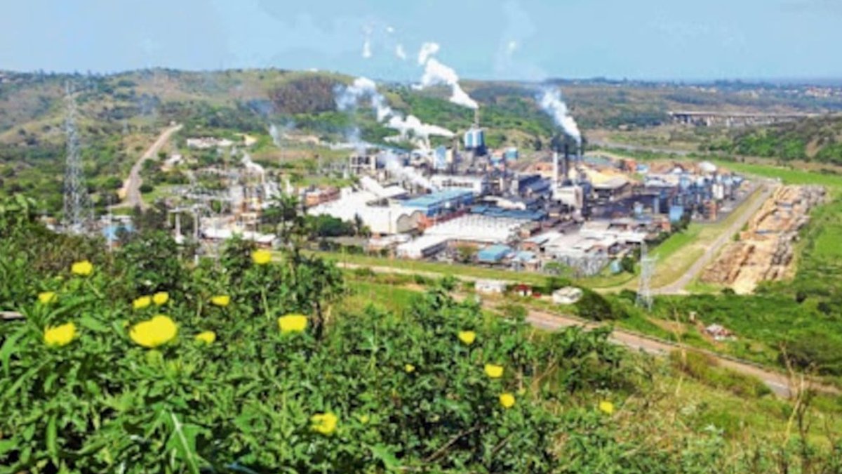 Women lead growth in bioeconomy sectors - women bioeconomy