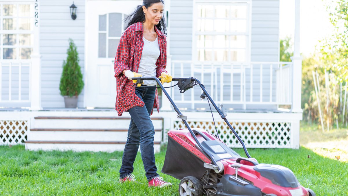 Best deals on lawn mowers revealed - lawn mower deals