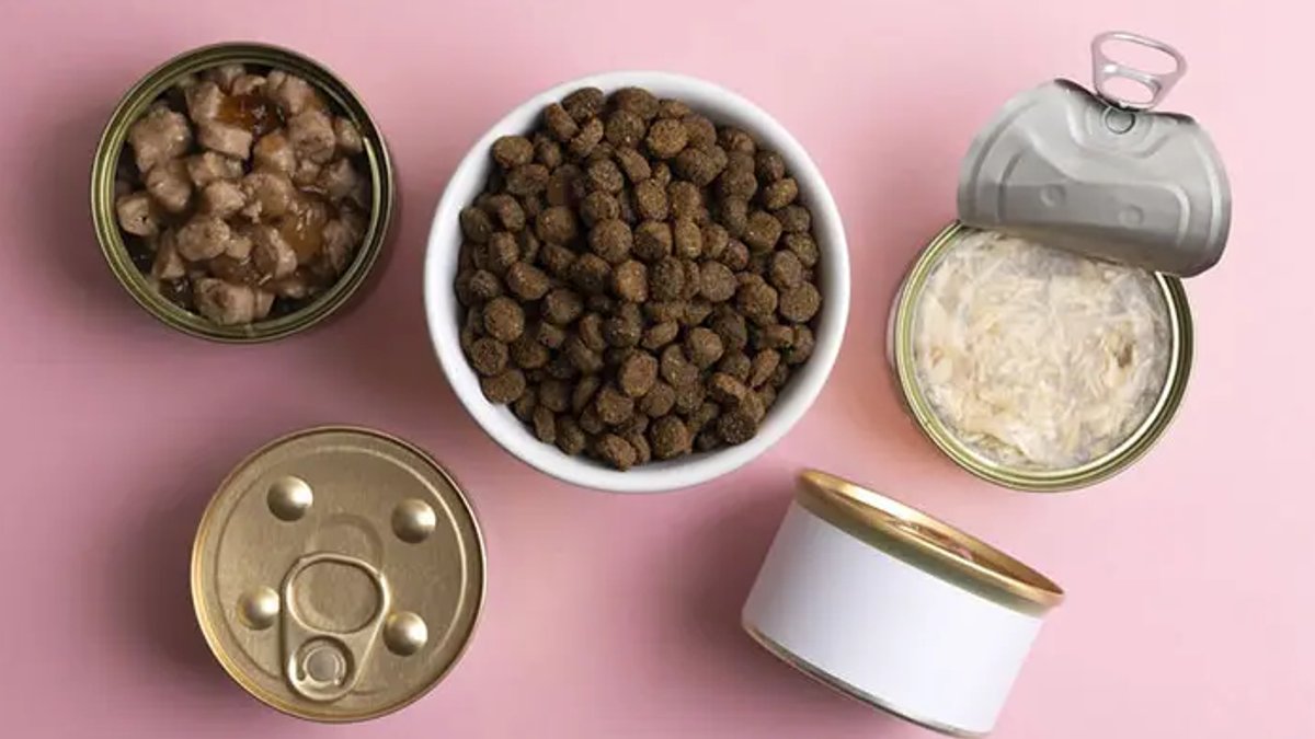 Is pet food harming our animals Is pet food harming our animals - pet food