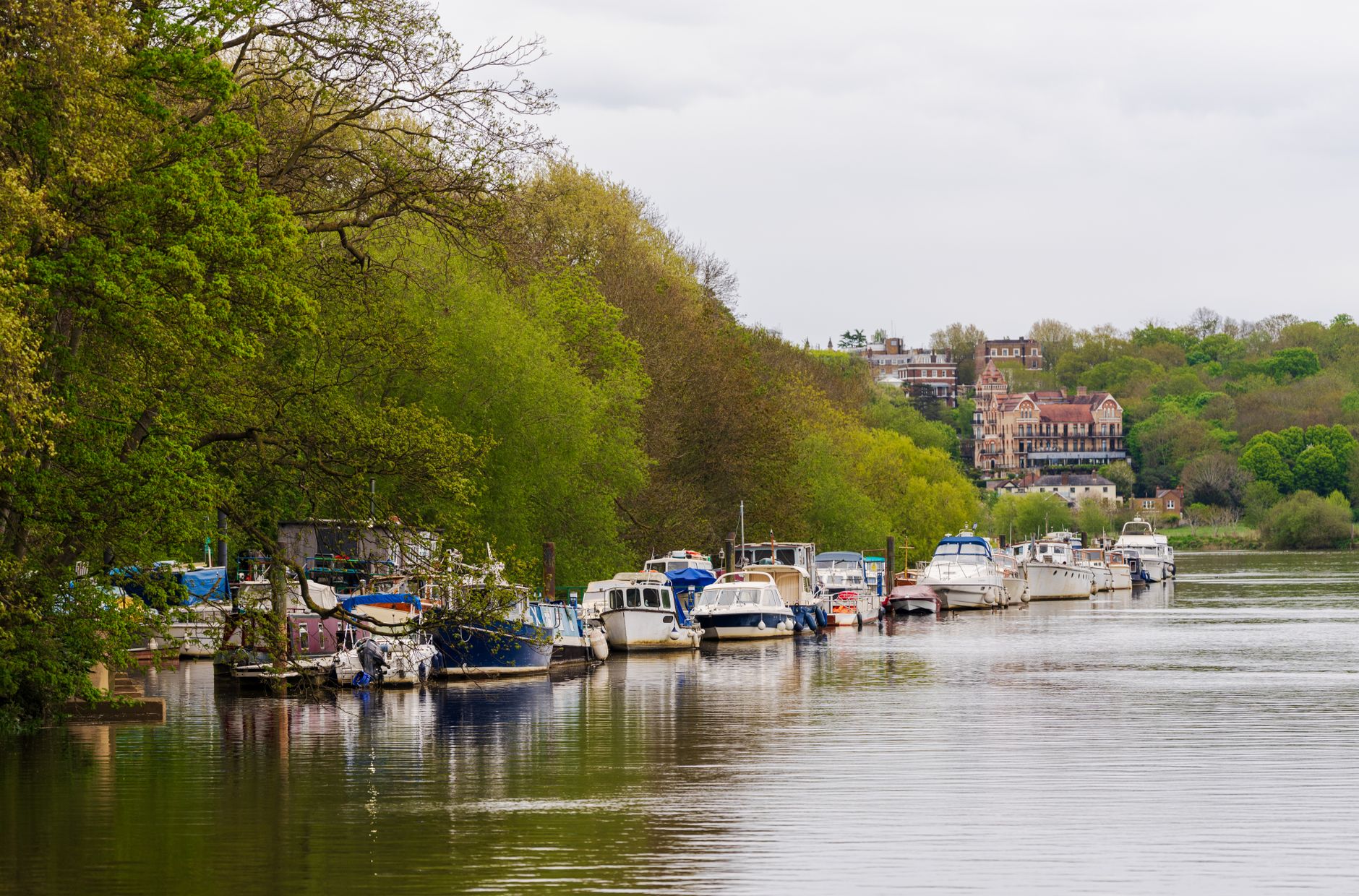 Richmond’s Riverside Romance: Lab Grown Diamond Rings