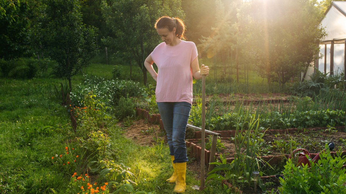 Rustic Garden Beds Offer Simple Yard Upgrade