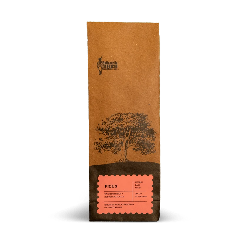 Black Baza Coffee Ficus