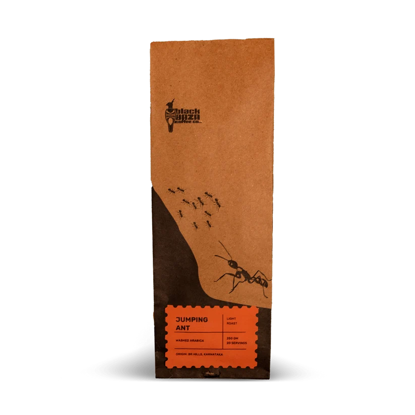 Black Baza Coffee Jumping Ant