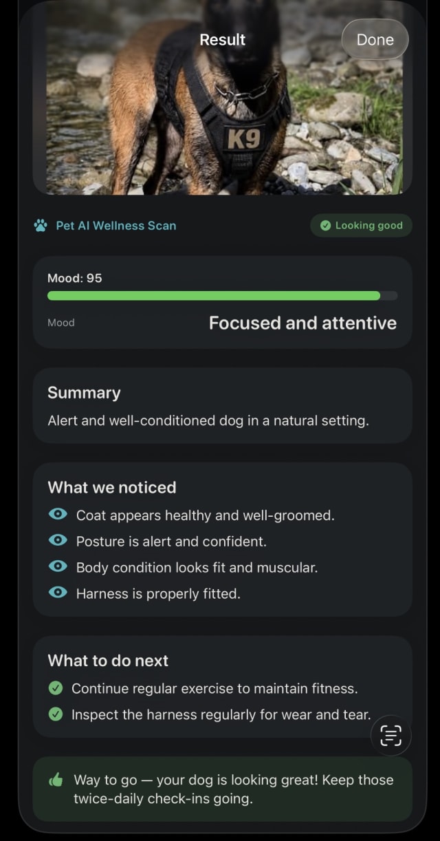 Free wellness scan result for a friend's dog — looking good, mood score 95