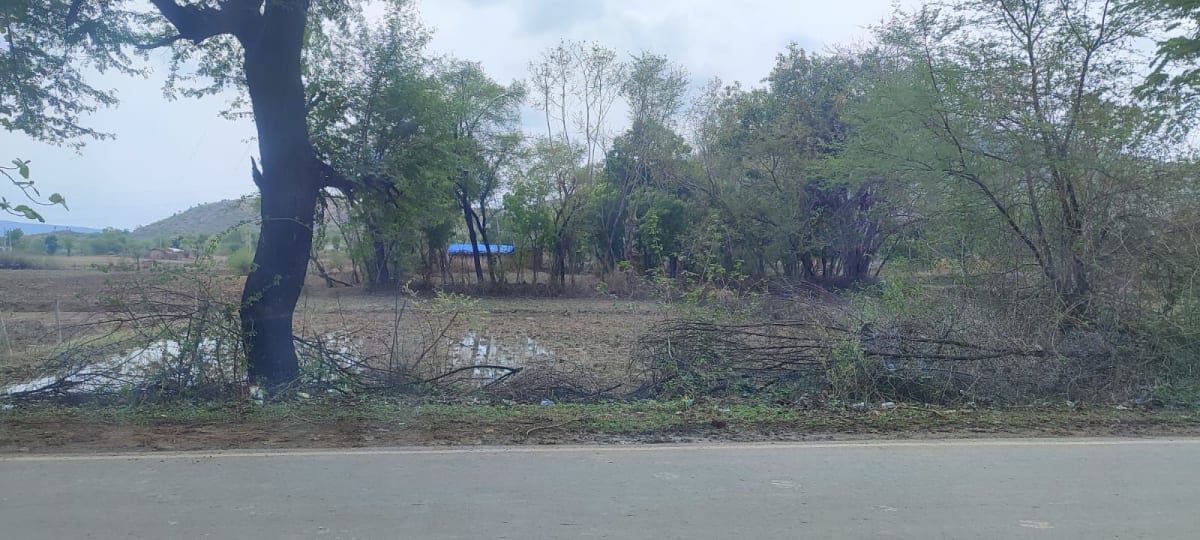14500 sq.ft Plot near echoul art unchehra