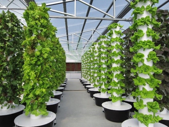 Innovative Technologies in Urban Agriculture: What Need to Know