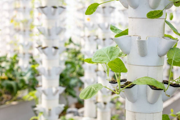 Maximizing Space: Best Practices for Urban Garden Layouts