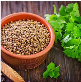 Coriander
