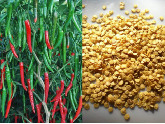 Chilli