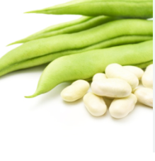 Beans