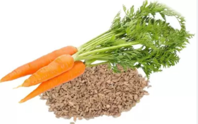 Carrot
