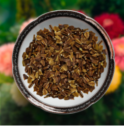 Chrysanthemum