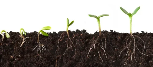soil_enhancers.PNG