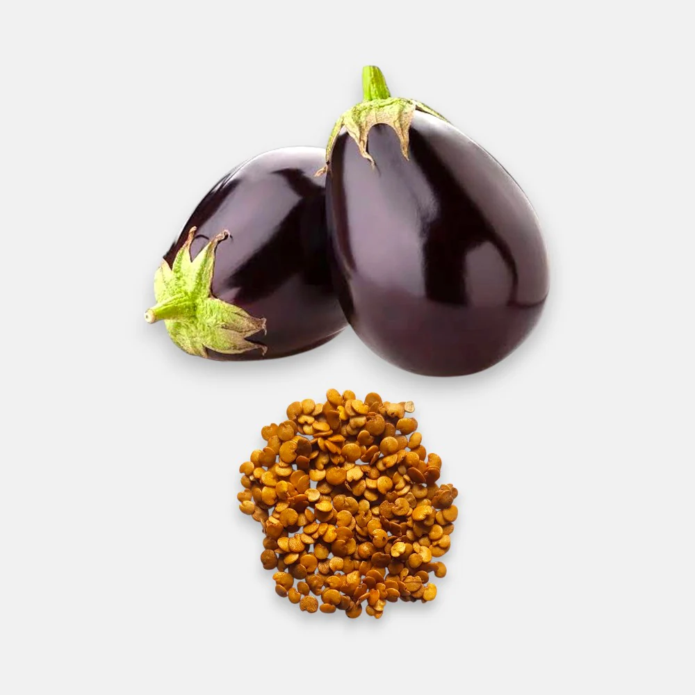 Brinjal