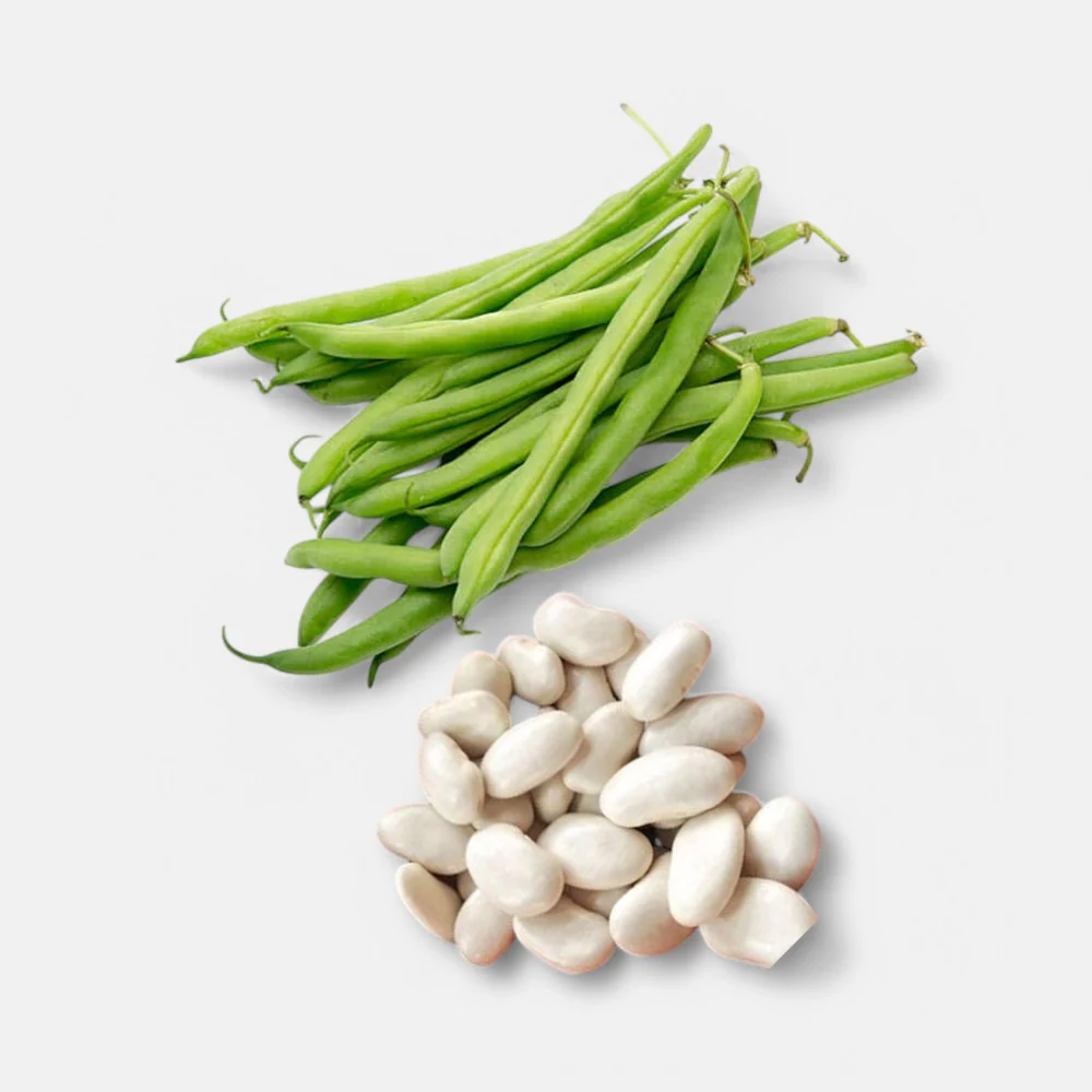 Beans