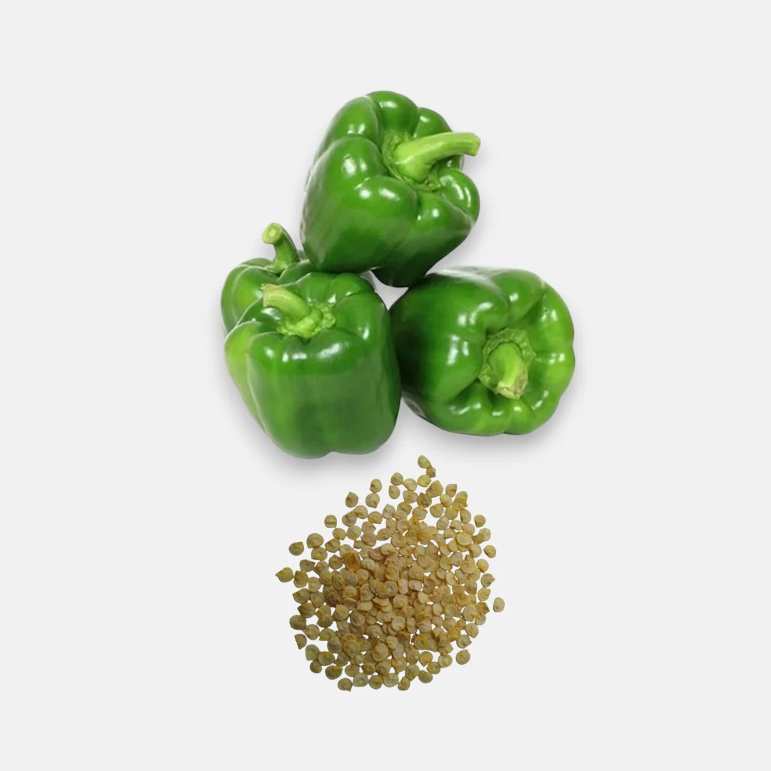 Capsicum