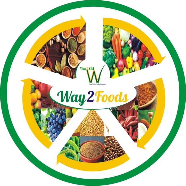 Way2Foods Brand Logo
