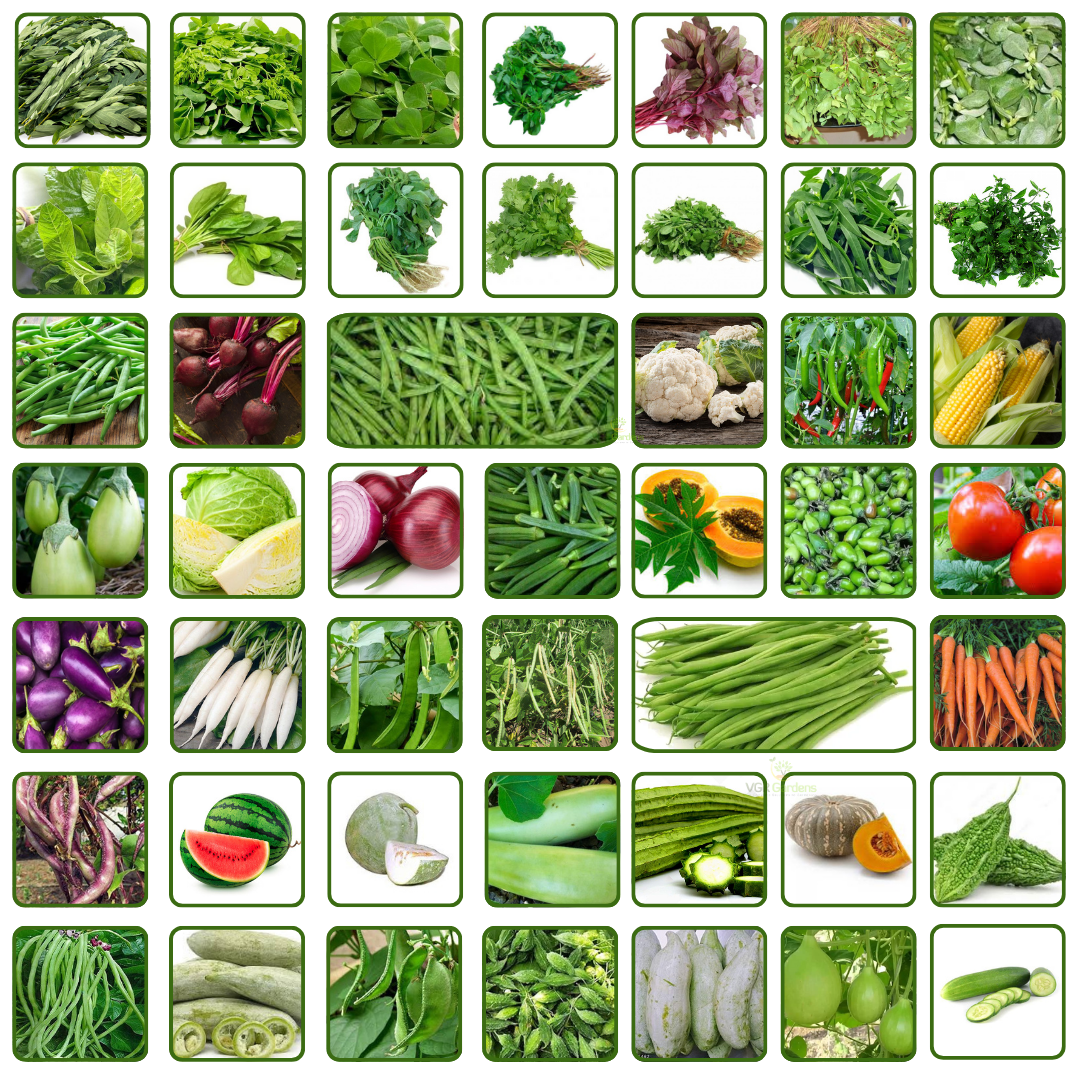 Variety of vegetable seeds packets for home and urban gardening