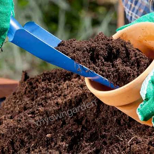 Potting Mix