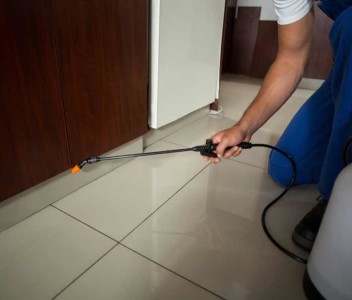 Top 10 Pest Control Services In Hyderabad Safe Certified Chemicals Urban Company