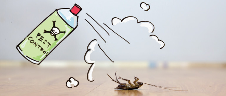 Effective Pest Control Tips and Tricks to Keep Your Home Pest-Free