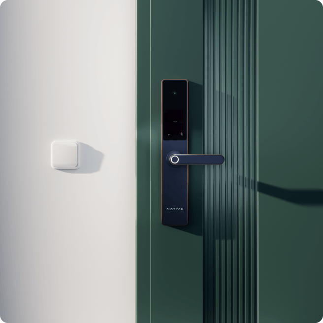 Lock Pro on green door