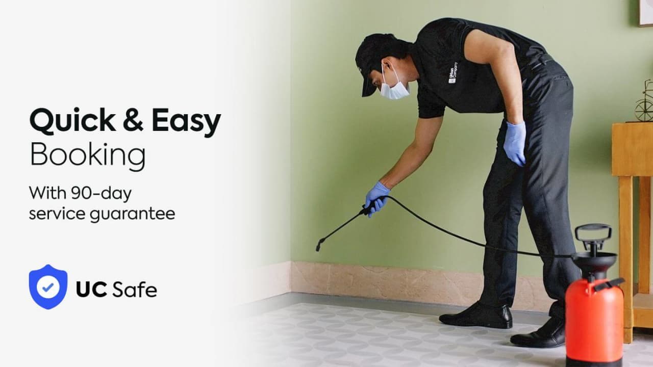 Top Pest Control services in Sharjah, United Arab Emirates at your home