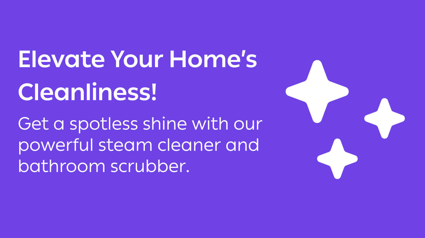 Single-Visit Cleaning 2