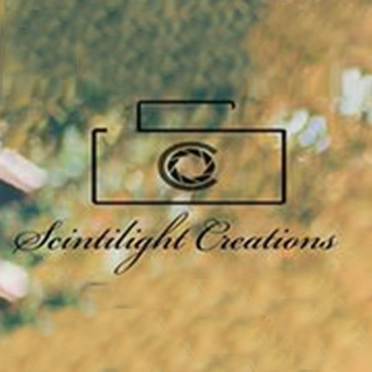 Scintilight Creations 's image