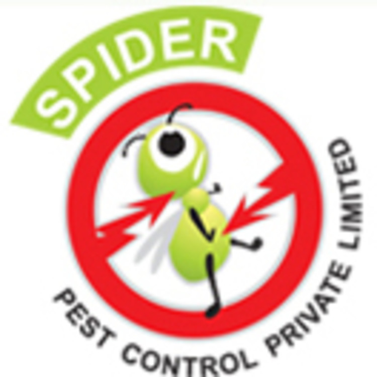 Spider Pest Control's image
