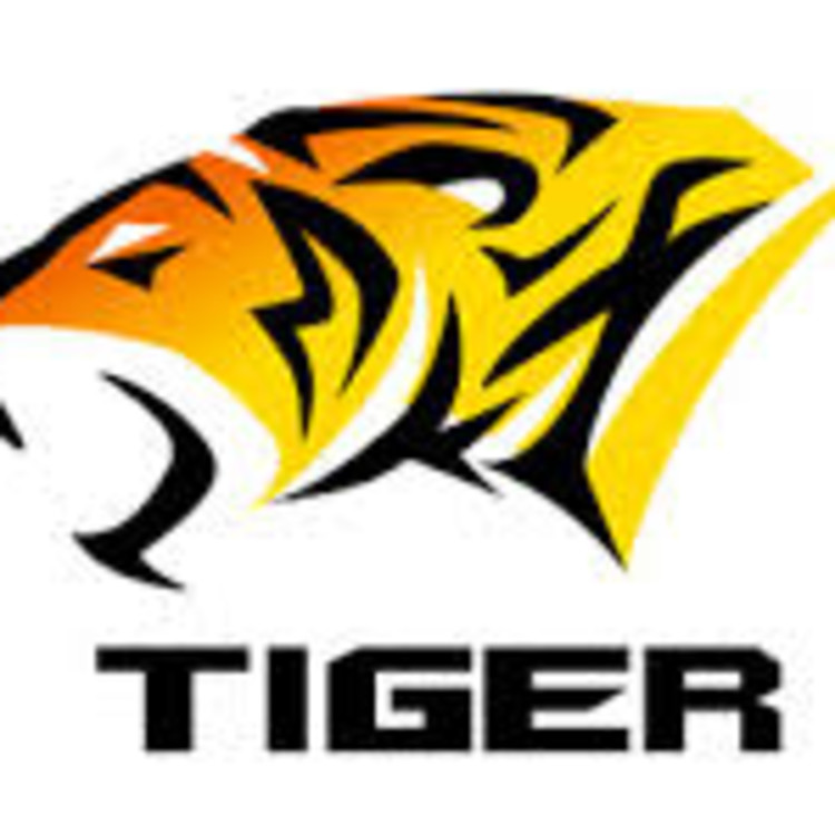 Tiger Car Spa's image