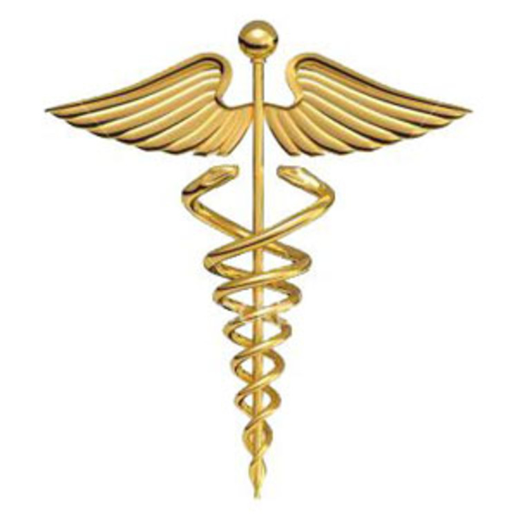Dr. Sneha Kamat's image