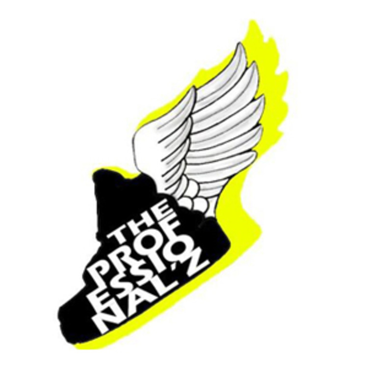 PROFESSIONAL'Z DANCE ACADEMY's image