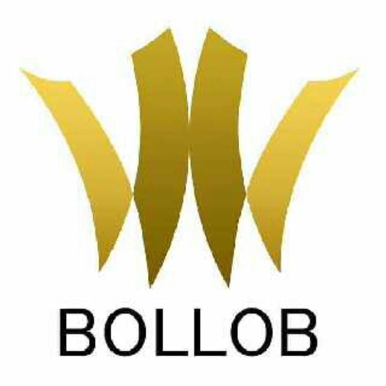 Bollob.com's image