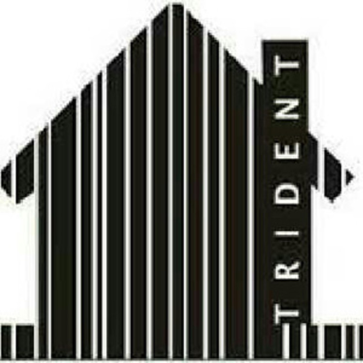 Trident Infrastructures's image