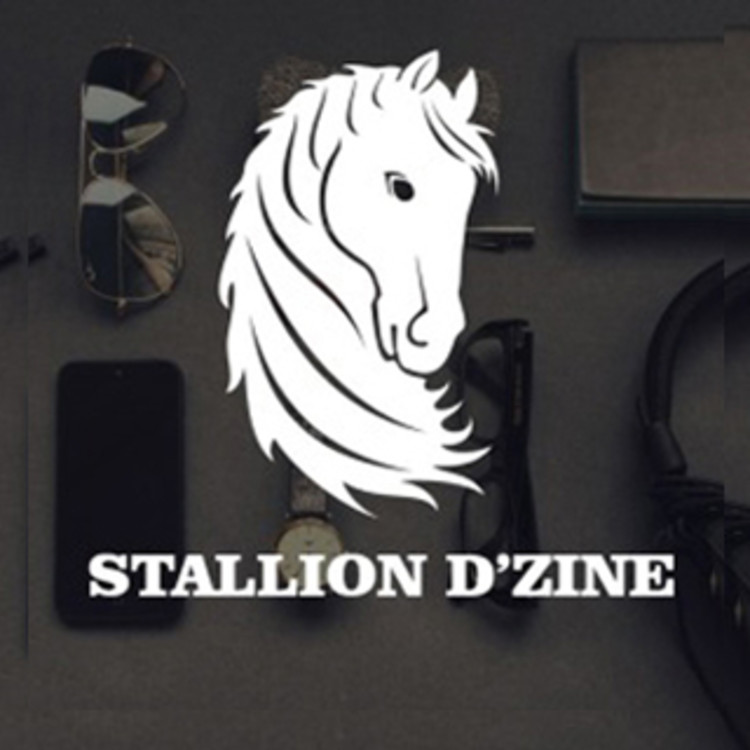 Stallion D'zine 's image