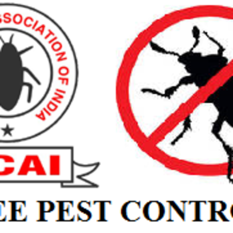P Free Pest Control's image