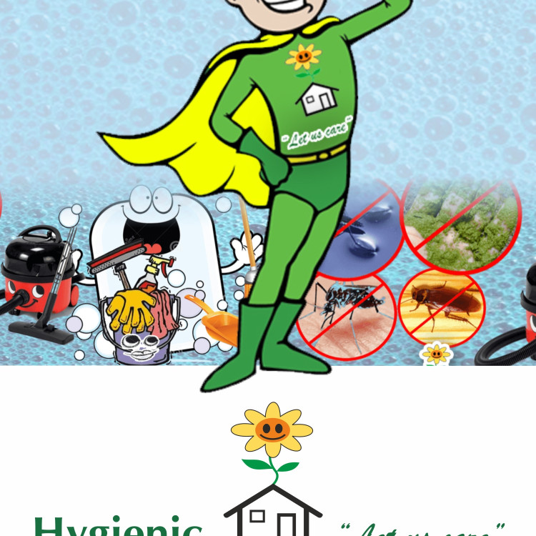Hygienic Healthy Homes's image