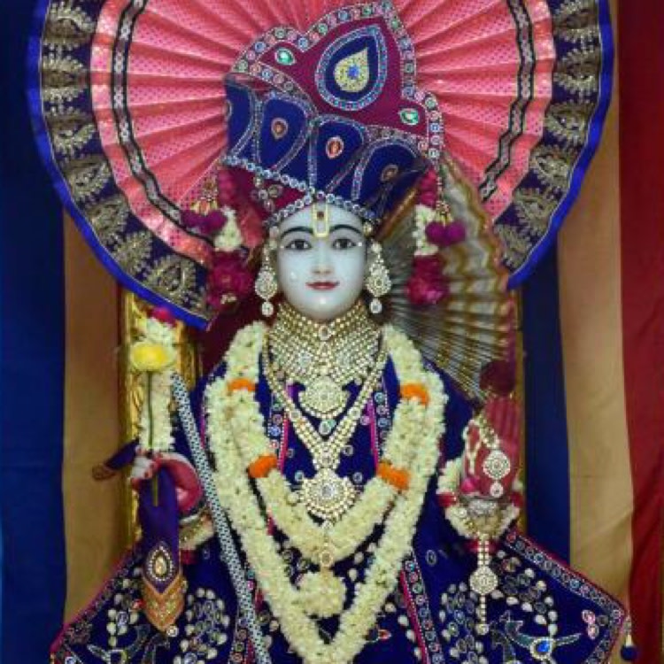 Dr Shraddha Brahmbhatt's image