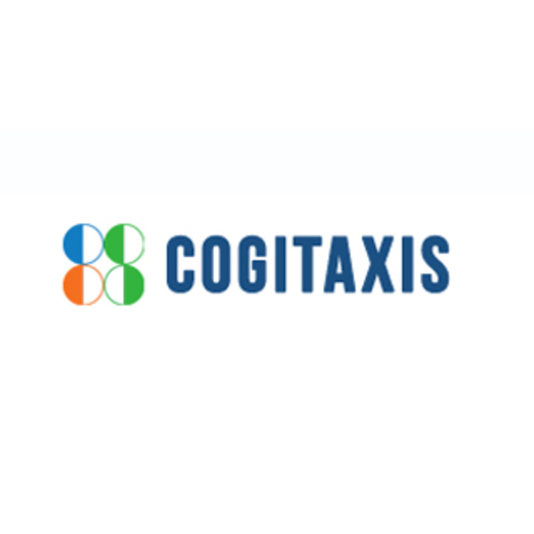 Cogitaxis Consultancy Services's image