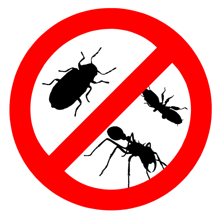 Terminatorz Pest Control's image