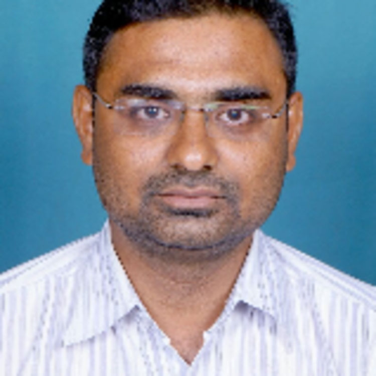 Trivedi Maulik Pravinbhai's image