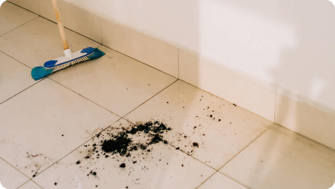 Floor cleaning