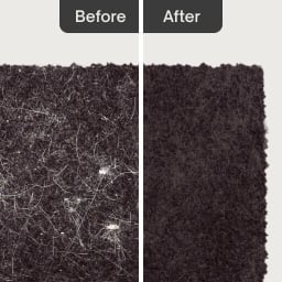Add ons - Pet hair clean up