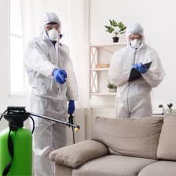 Home disinfection - Bungalow