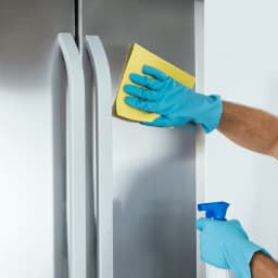 Mini services - Refrigerator cleaning